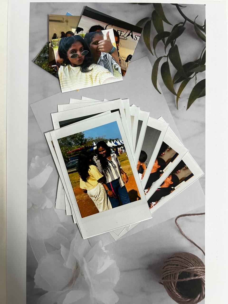 Standard Polaroids